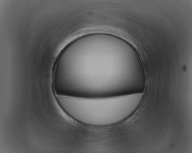 X0000091671523200708231002