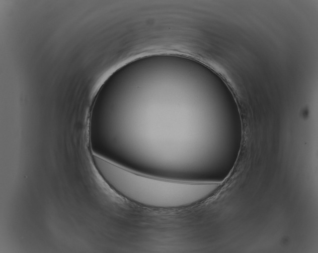 X0000091671524200708231002