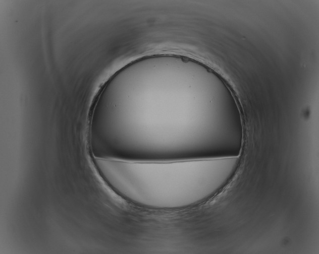 X0000091671525200708231002