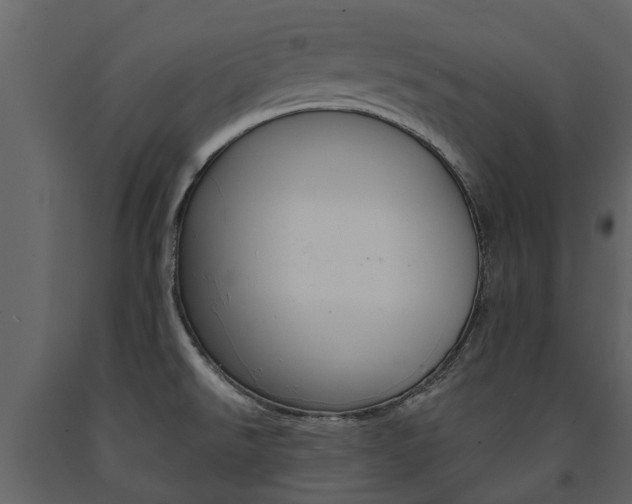 X0000091671526200708231002