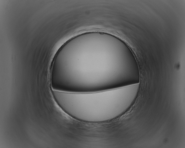 X0000091671527200708231002