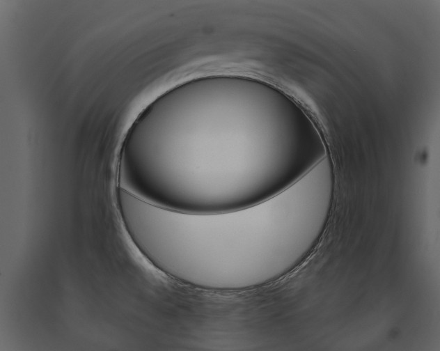 X0000091671528200708231002