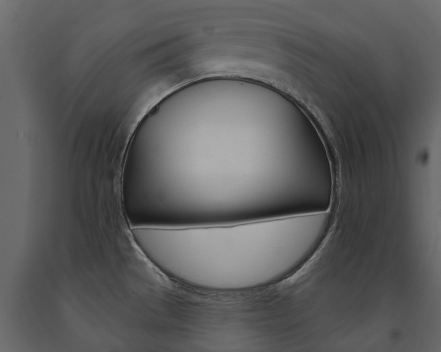 X0000091671529200708231002