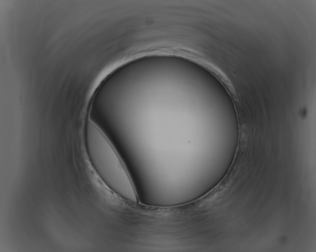 X0000091671530200708231002