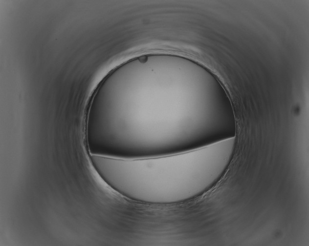 X0000091671531200708231002