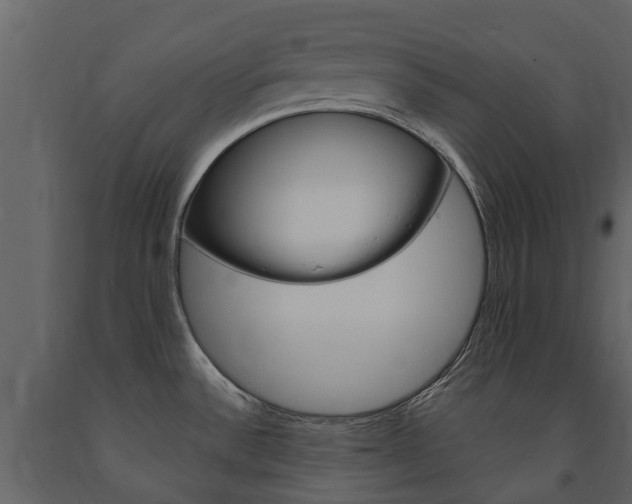 X0000091671532200708231002