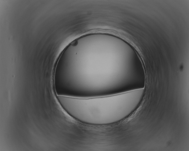 X0000091671533200708231002