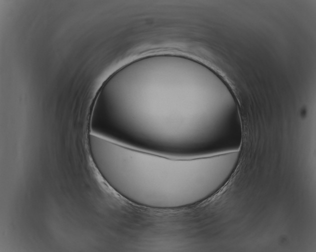 X0000091671534200708231002