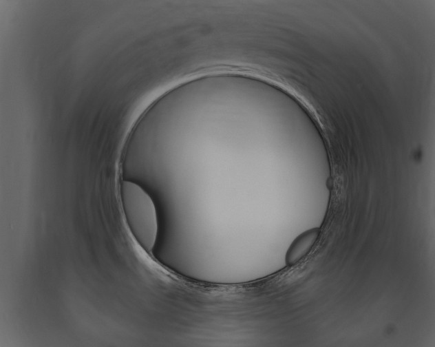 X0000091671535200708231002