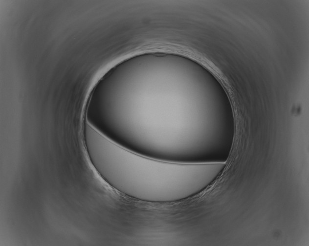X0000091671536200708231002