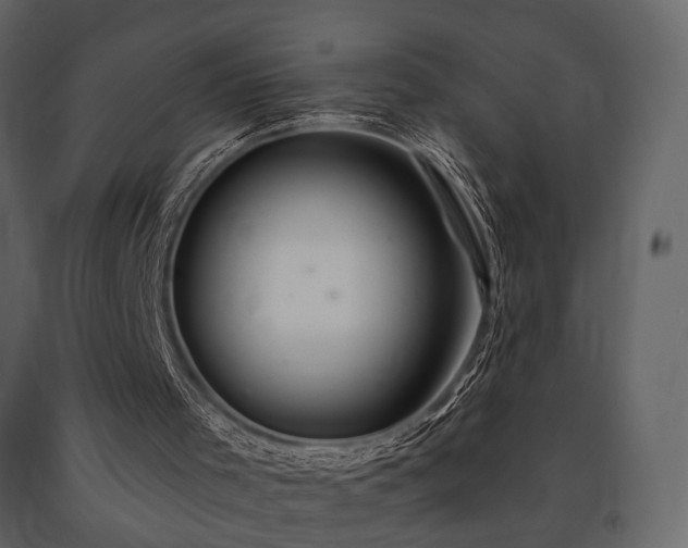 X0000091670001200708231341