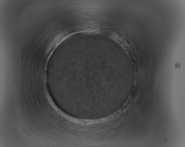 X0000091670002200708231341