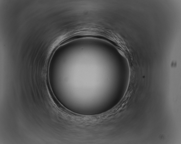 X0000091670003200708231341
