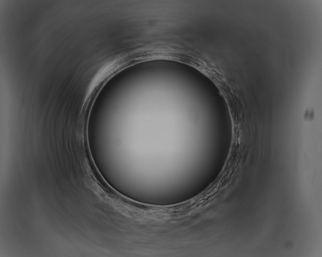 X0000091670004200708231341