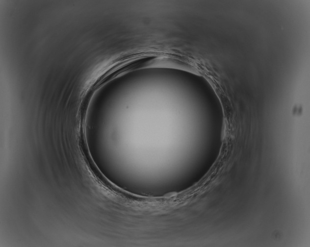 X0000091670005200708231341
