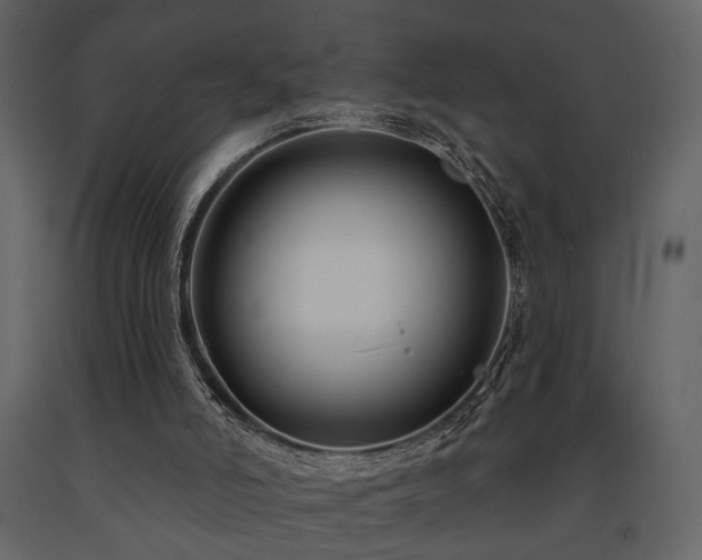 X0000091670006200708231341