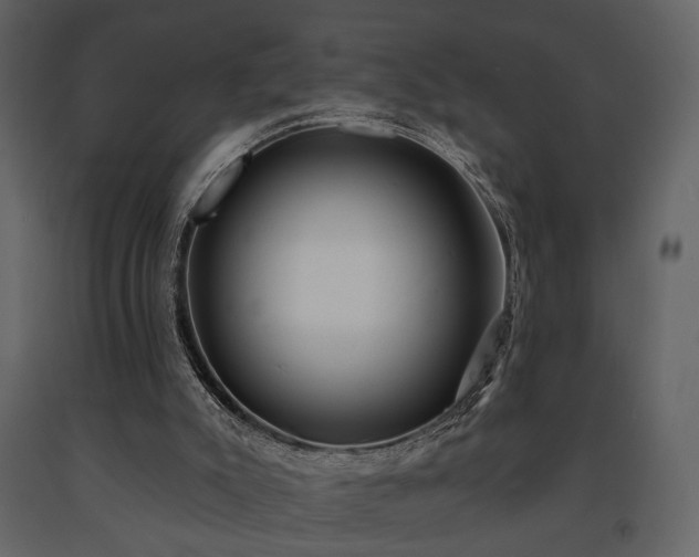 X0000091670007200708231341