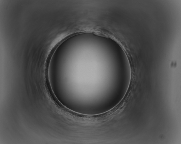 X0000091670008200708231340