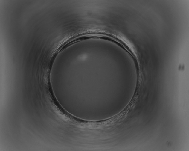 X0000091670009200708231340