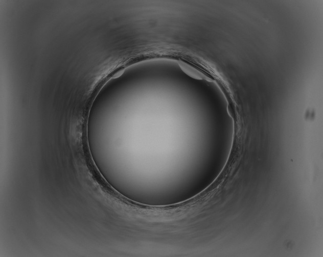 X0000091670010200708231340