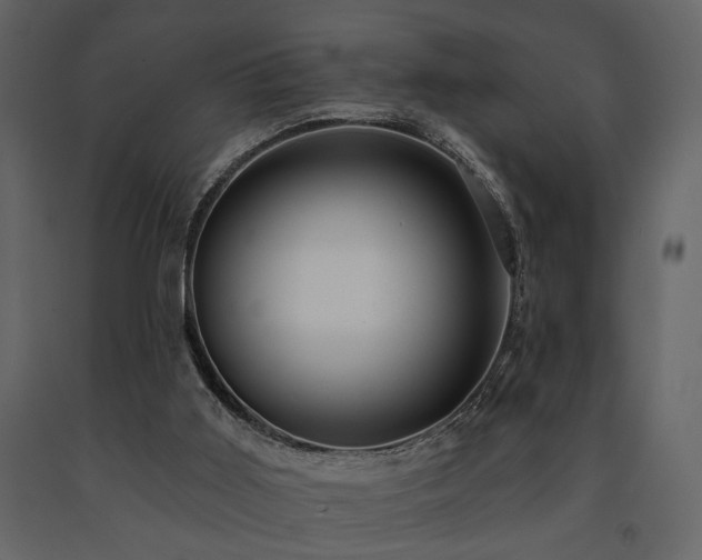 X0000091670011200708231340