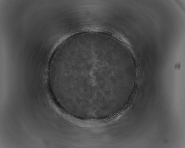 X0000091670012200708231340