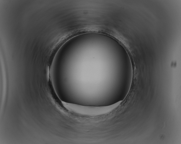X0000091670013200708231340