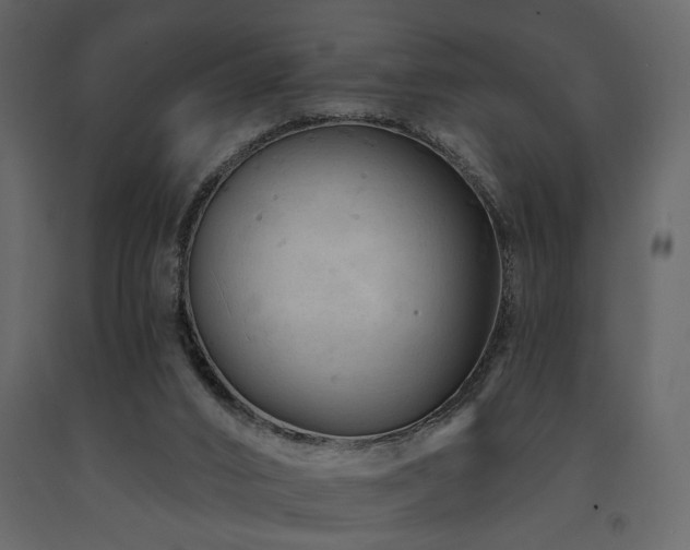 X0000091670016200708231340