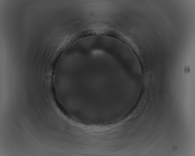 X0000091670018200708231340