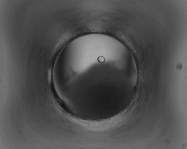 X0000091670019200708231340