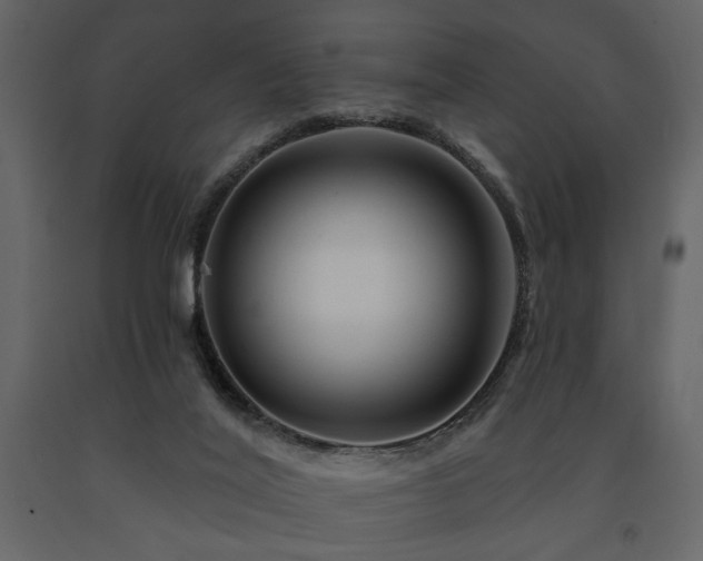 X0000091670020200708231340