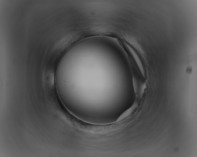 X0000091670021200708231340