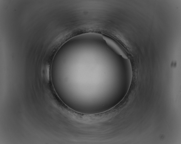 X0000091670022200708231340