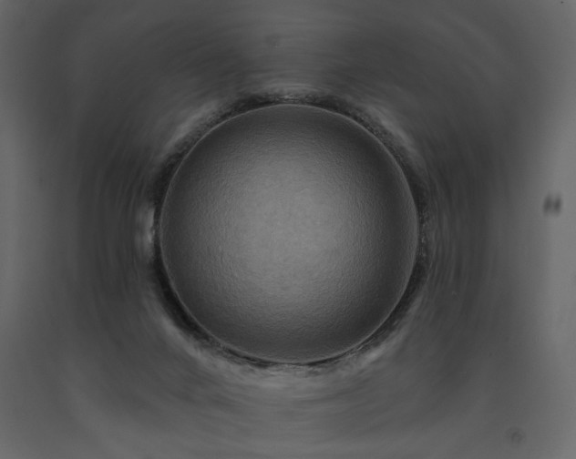 X0000091670024200708231340