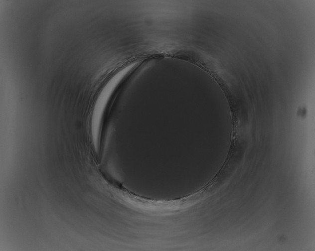 X0000091670027200708231340