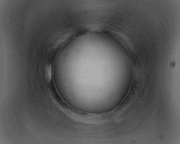 X0000091670028200708231340