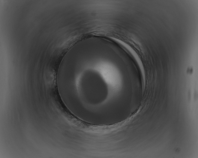 X0000091670029200708231340