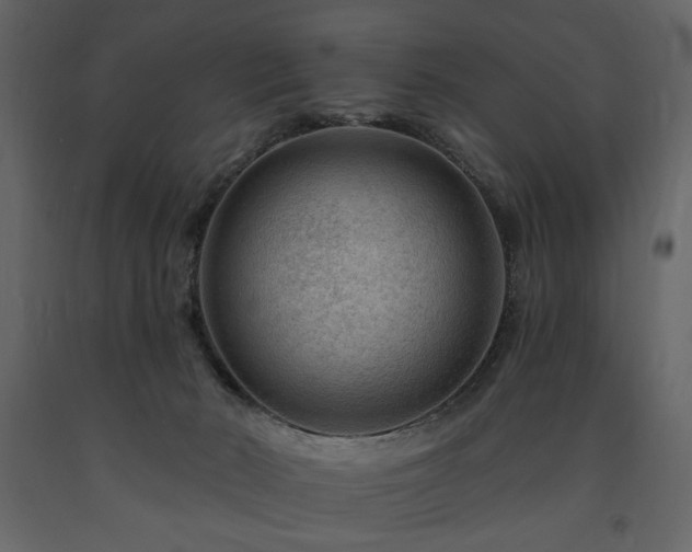 X0000091670030200708231340