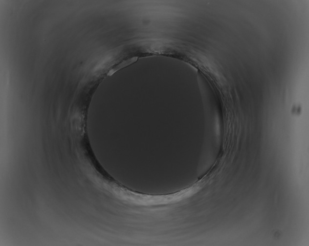 X0000091670031200708231340