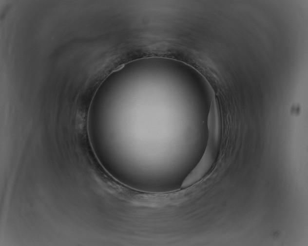 X0000091670033200708231340