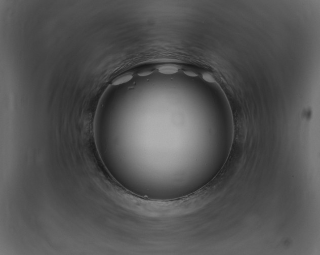 X0000091670034200708231340