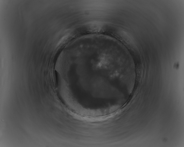 X0000091670035200708231340