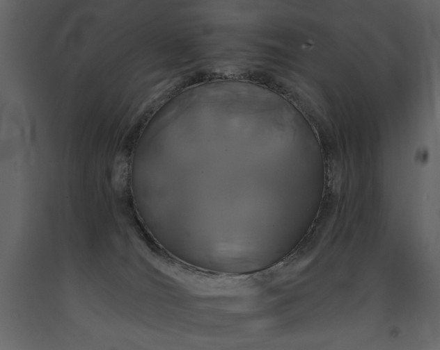 X0000091670036200708231340