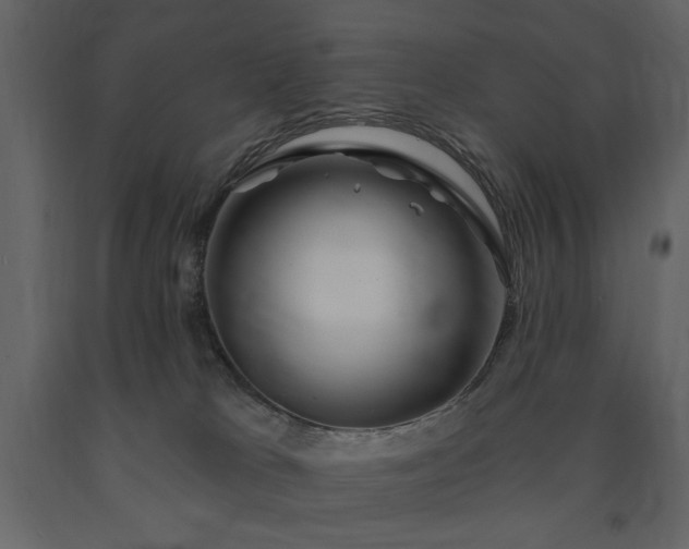 X0000091670037200708231340