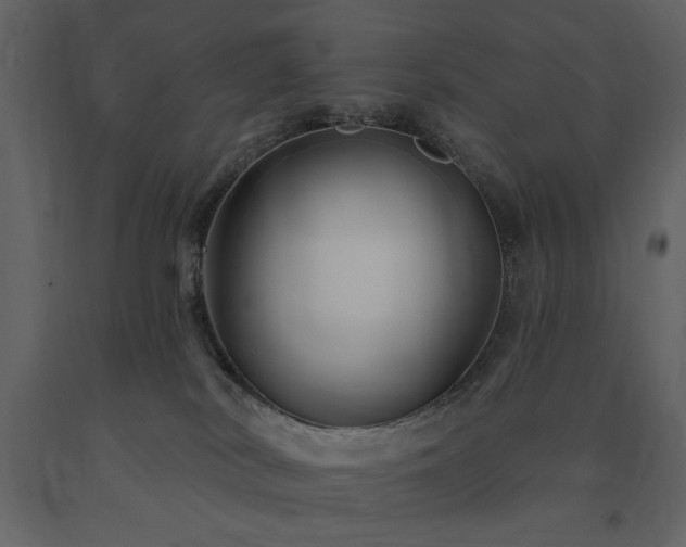 X0000091670038200708231340