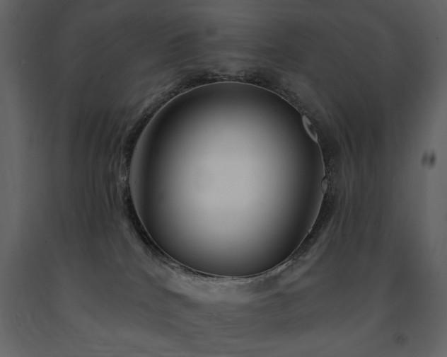 X0000091670040200708231340