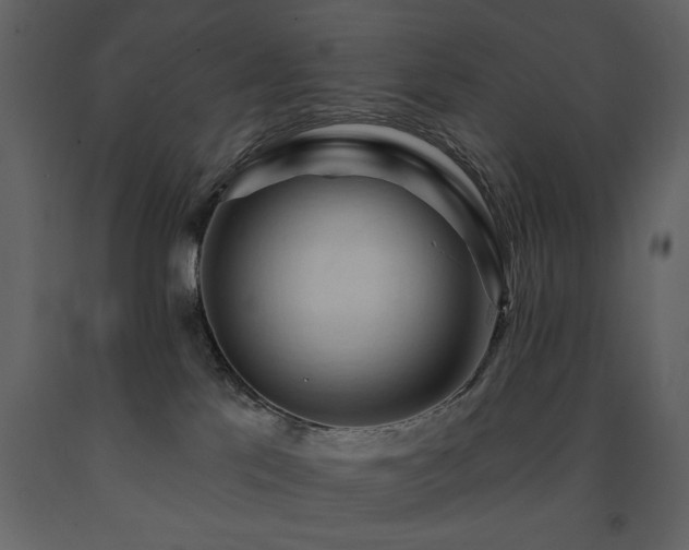 X0000091670041200708231340