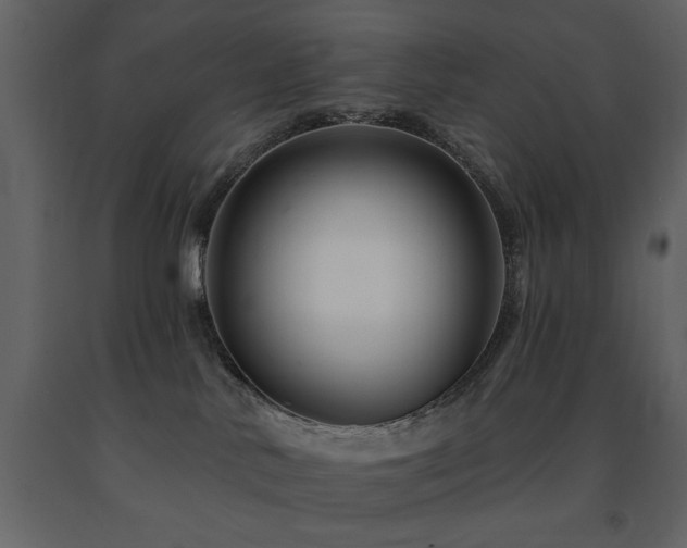X0000091670042200708231340