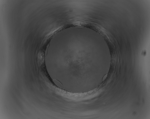 X0000091670043200708231340