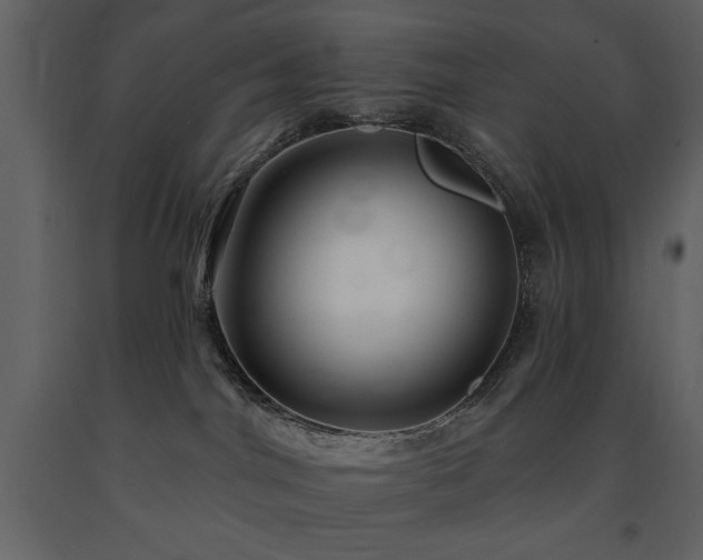 X0000091670044200708231340